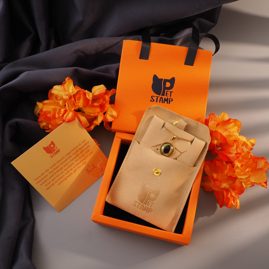 Special Gift Box for Necklace